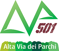 avp501_logo2.jpg